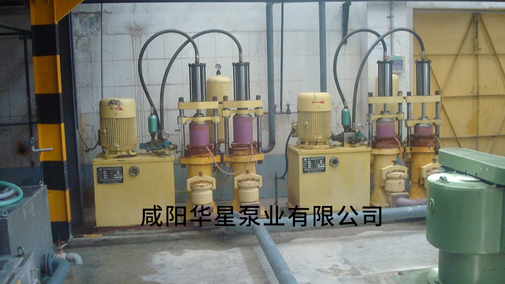西安電瓷廠-進料泵