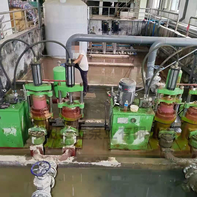 無泄漏壓濾機泵